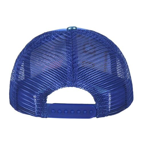 Gorra premium Harry Potter Azul