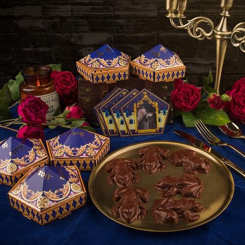 Harry Potter Molde De Chocolates Ranas De Chocolate New Edition