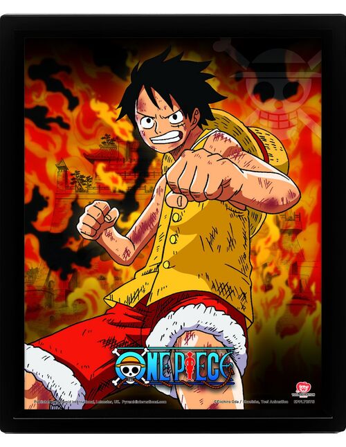 Pster 3D One Piece Brothers Burning Rage